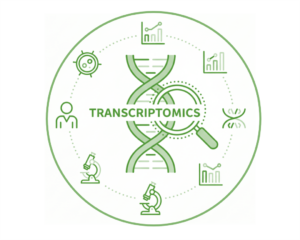 Research_Line_Transcriptomics