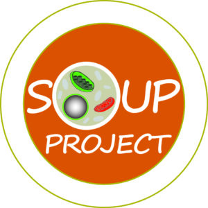 Logo SOUP
