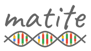 Logo MATITE